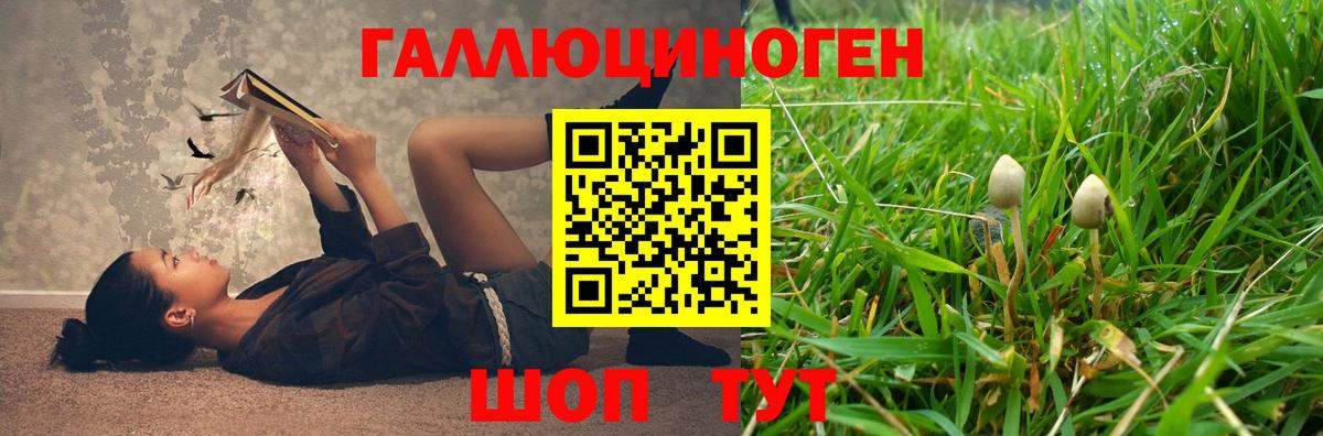 Галлюциногенные грибы GOLDEN TEACHER  Вход с VPN  Россия  Галлюциногенные грибы мухоморы 